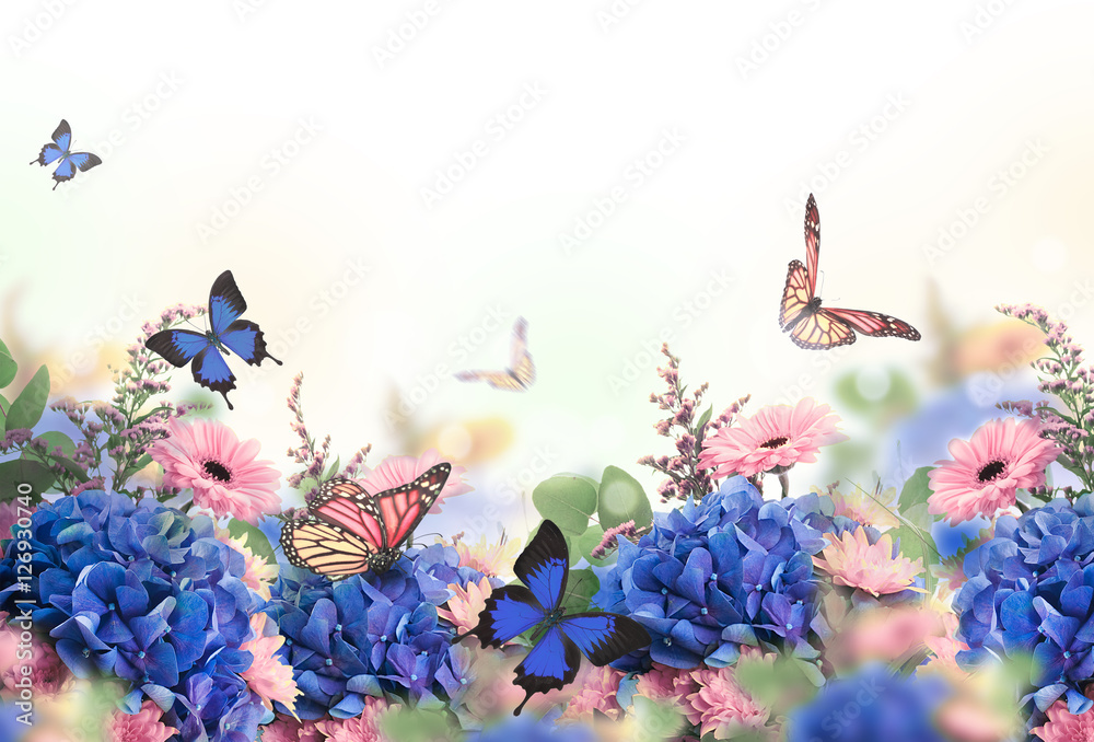Obraz premium Niesamowite tło z hortensjami i stokrotkami. Żółte i niebieskie kwiaty na białym półfabrykacie. Charakter kwiatowy karty. motyle bokeh.
