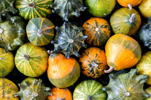 Pumpkins texture - autumn decorative background