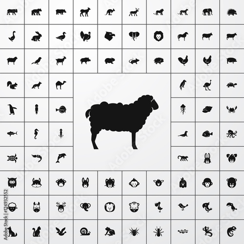 sheep icon illustration