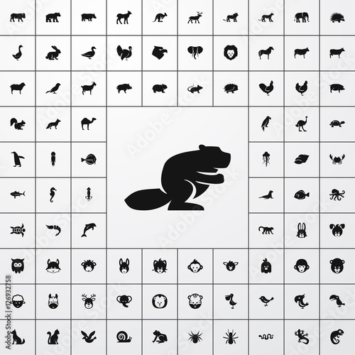 beaver icon illustration