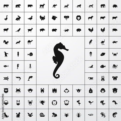 seahorse icon illustration