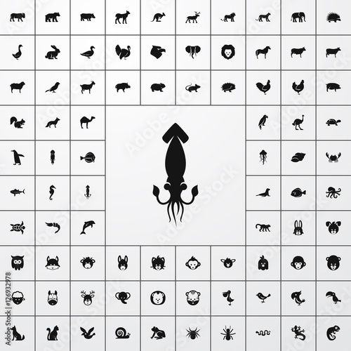 squid icon illustration