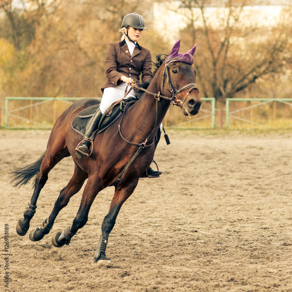 Sportswoman riding horse on equestrian competition