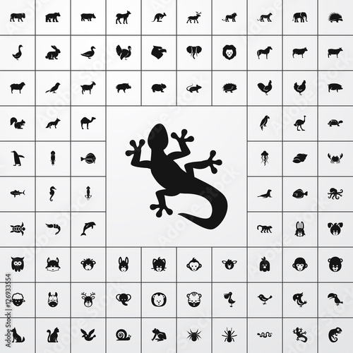 lizard icon illustration
