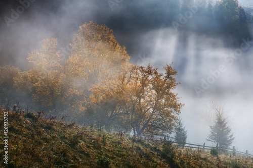 Ukraine. Carpathians. Dzembronya. Autumn morning © naumenkophoto