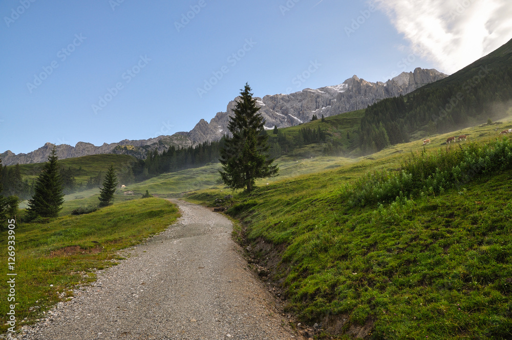 Wanderweg Wanderweg