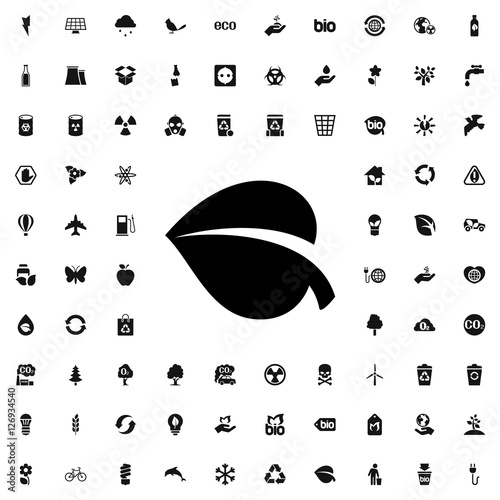 leaf icon illustration