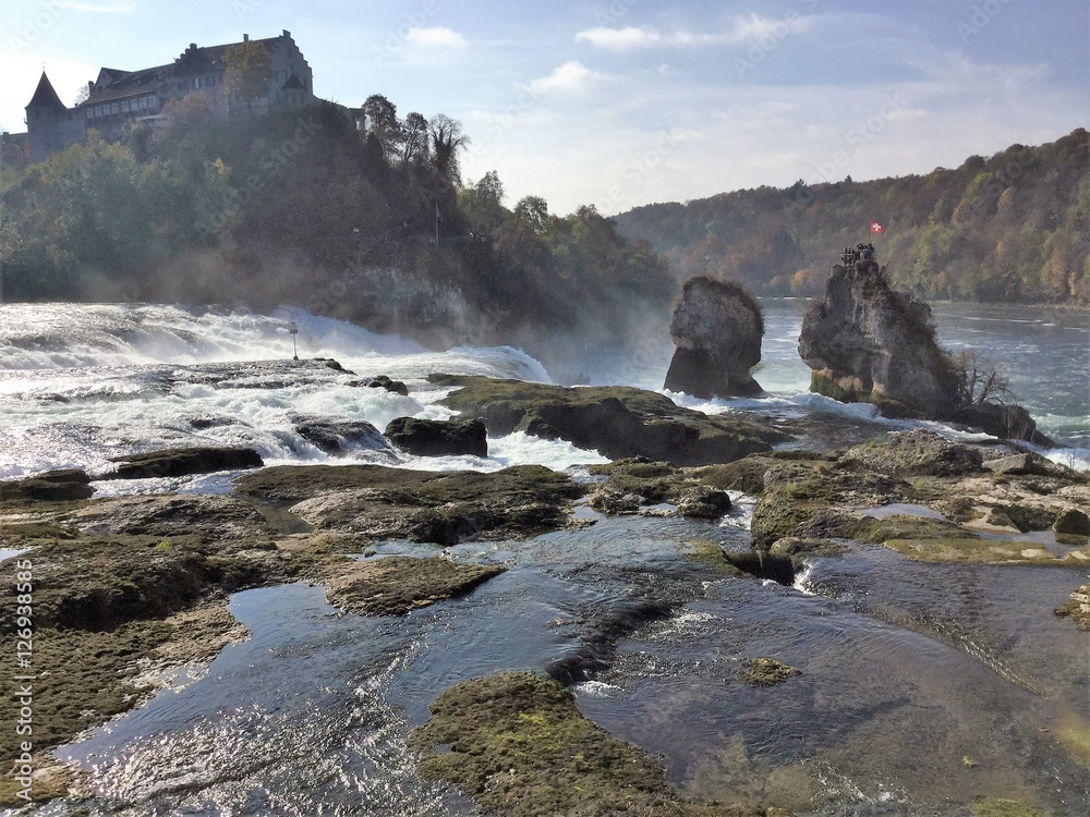 Fototapeta premium Am Rheinfall / Blick hinunter zu den Rheinfallfelsen