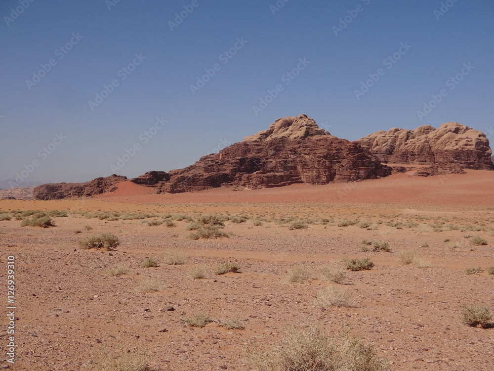 Jordanie - Wadi Rum : les couleurs du désert