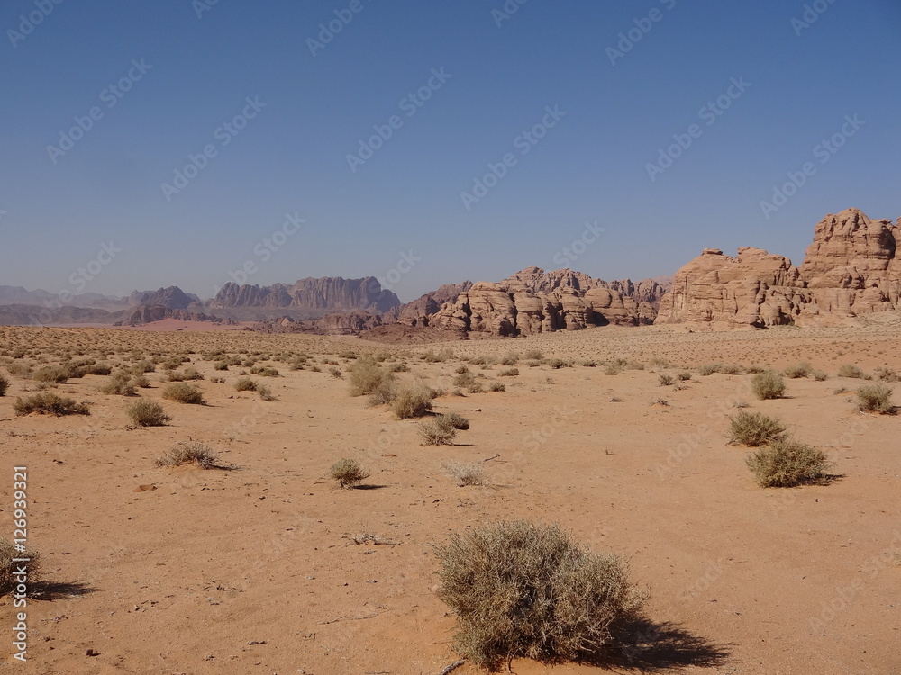Jordanie, Wadi Rum : entre dune et roche