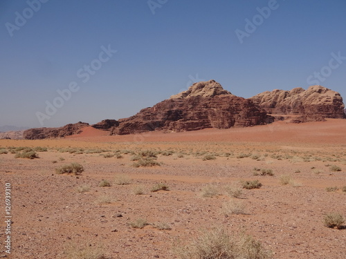 Jordanie - Wadi Rum   les couleurs du d  sert