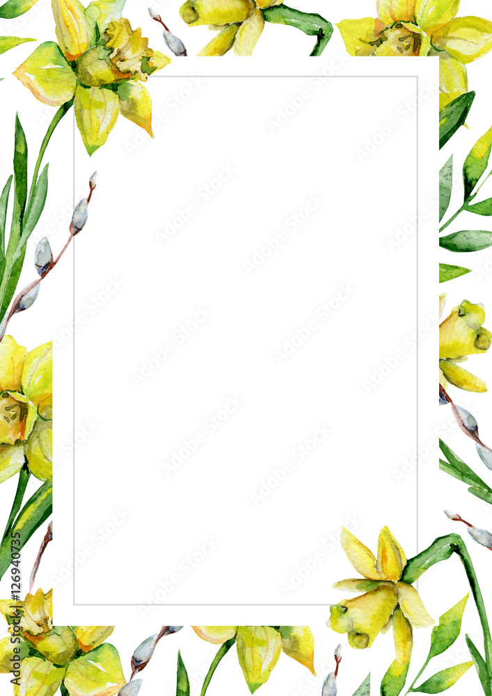 Obraz premium Daffodils and green grass and pussy-willow on white flower background. Floral greeting card. Watercolor invitation card template. May be used for wedding, Holyday or birthday greeting card.