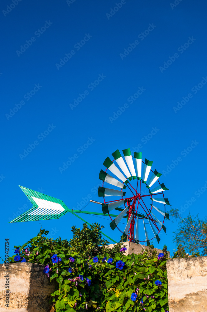 Fototapeta premium Traditionelle Windmühle auf Mallorca