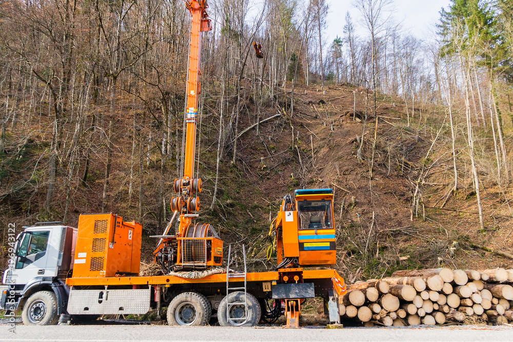 Maintenance of the forest after a natural disaster. Maintenance of the forest after a natural disaster.