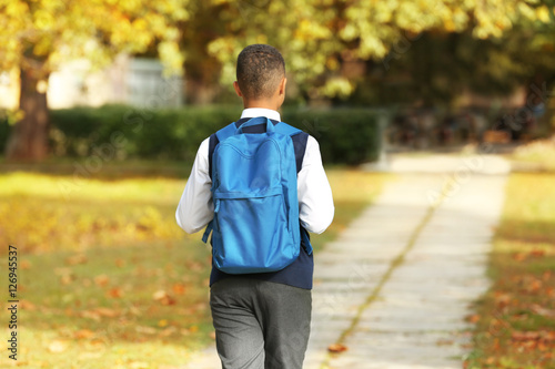 Cute schoolboy walking alon...