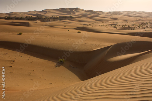 Abu Dhabi   s Empty Quarter.