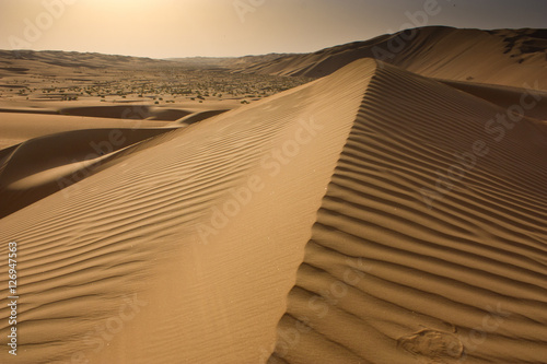 Abu Dhabi   s Empty Quarter.