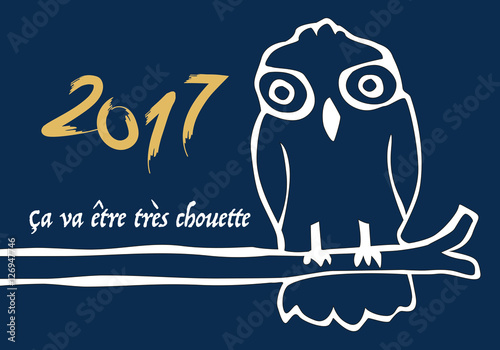 2017 - Optimisme - Humoristique - Chouette