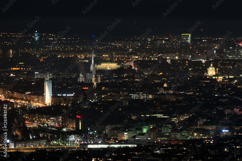 Vienna, aerial view at night