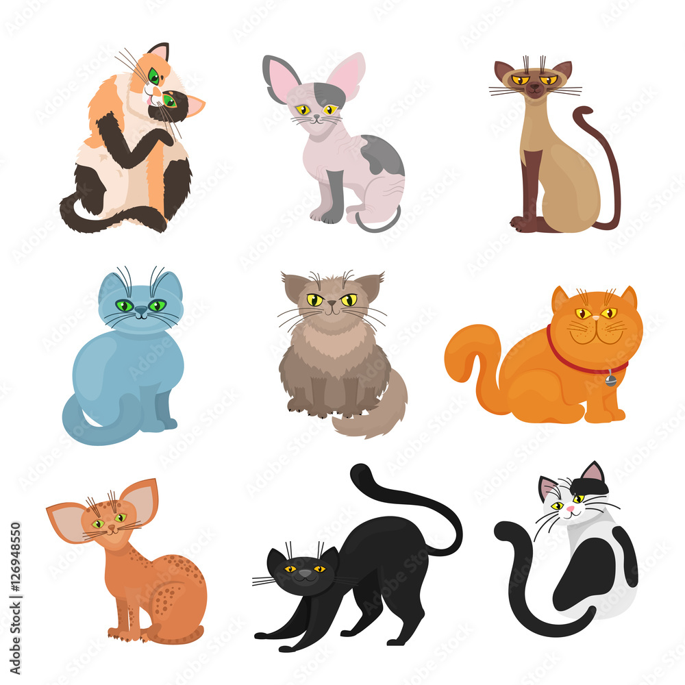 Fototapeta premium Cartoon domestic cats vector illustration
