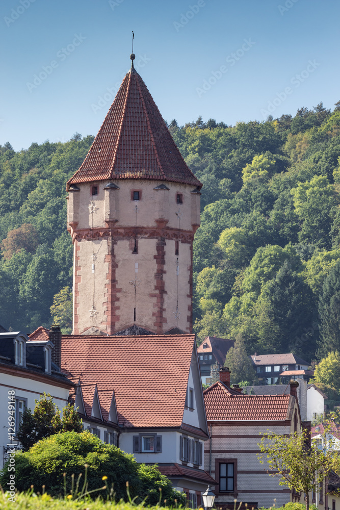 Pointed Tower with surrounding houses, seen from the bank of the Main River Pointed Tower with surrounding houses, seen from the bank of the Main River