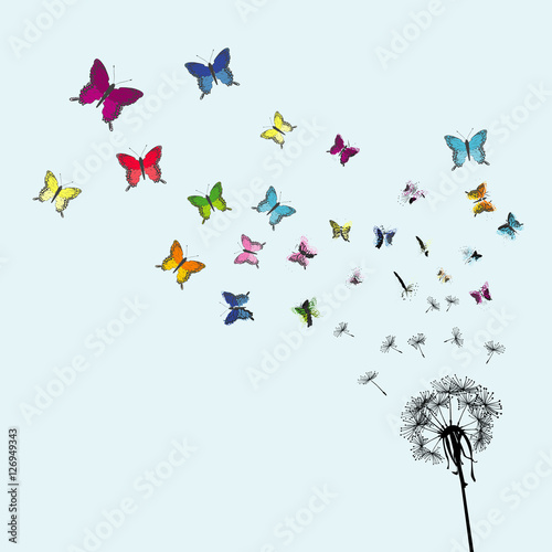 Dandelion seeds trasforming into colorful buterflies