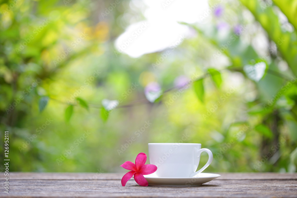 white cup and frangipani flower at outdoor white cup and frangipani flower at outdoor