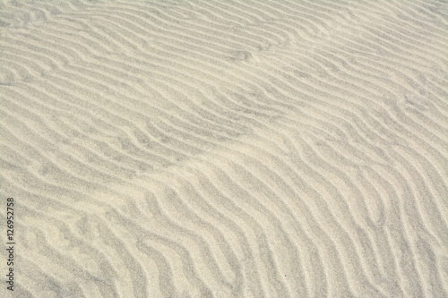 Surface of sand dune in the desert