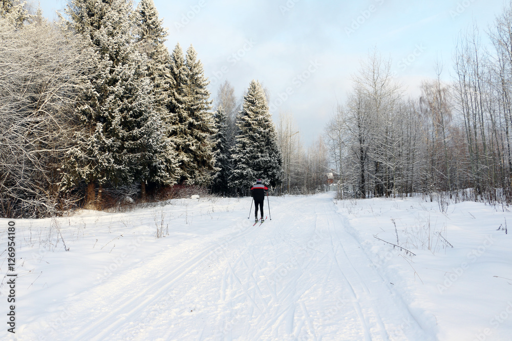 Fototapeta premium Ski track for skiers in the forest in a winter day