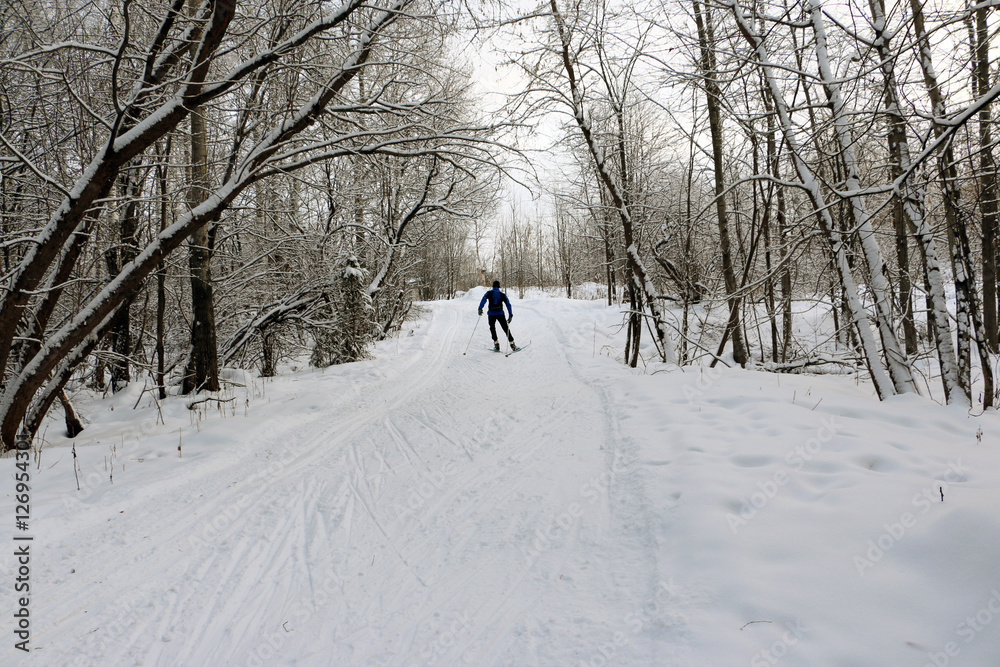 Fototapeta premium Ski track for skiers in the forest in a winter day