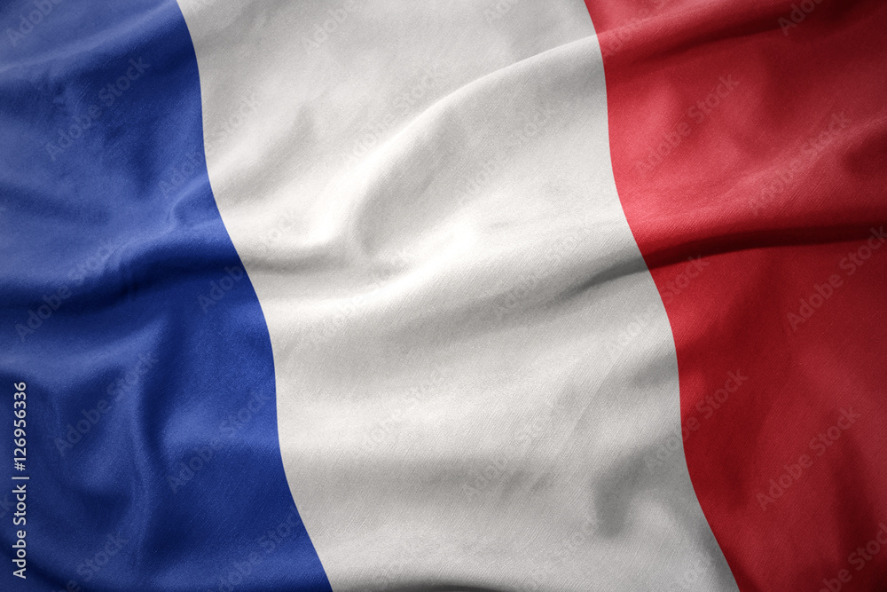Obraz premium macha kolorową flagą francji.