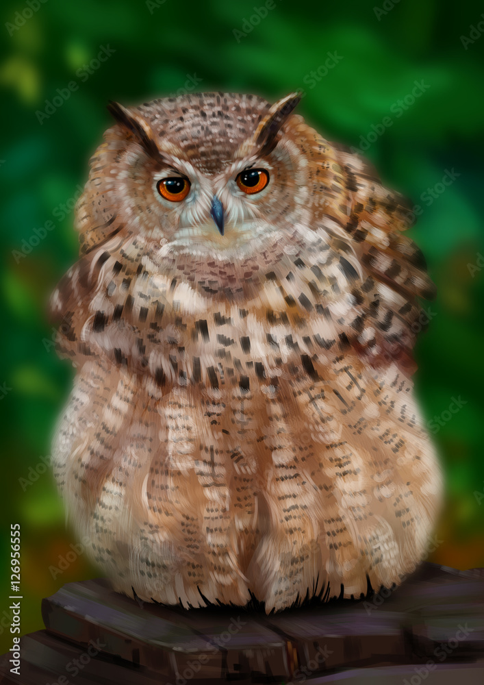 Naklejka premium Ушастая сова