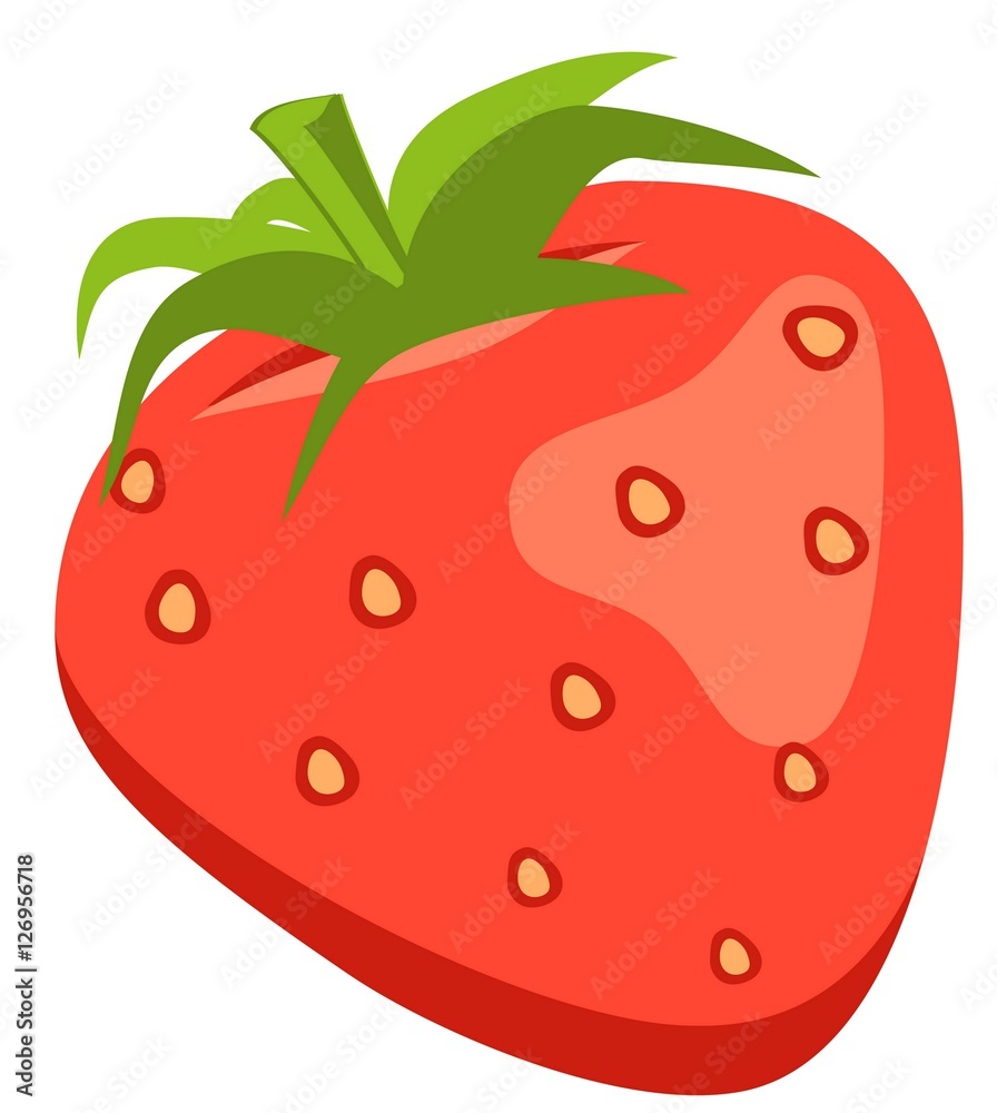 Beautiful red strawberry vector illustration. Fresh Healthy Breakfast. Beautiful red strawberry vector illustration. Fresh Healthy Breakfast.