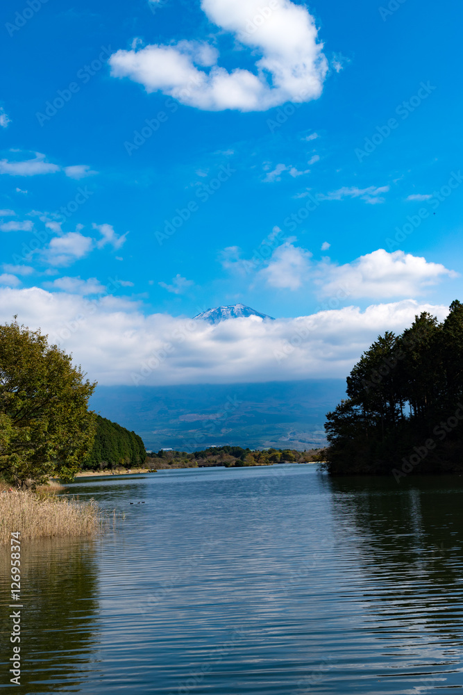 Fototapeta premium 田貫湖