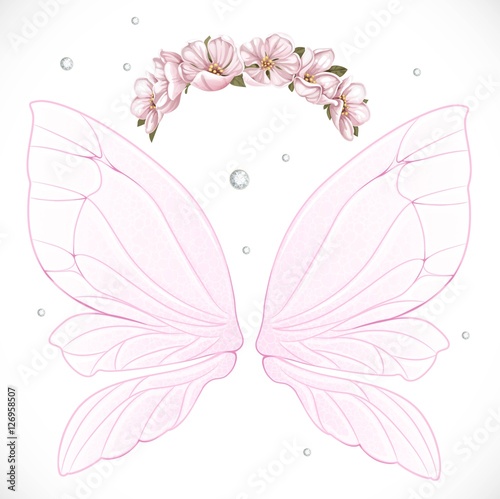 Pink fairy wings with wreath of pink spring flowers bundled isol