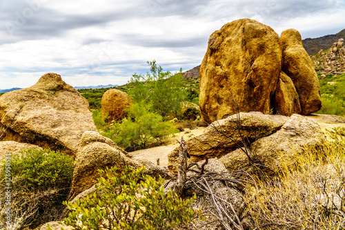 Cacti, Shrubs and large Rocks and Boulders in the desert near Carefree Arizona, USA