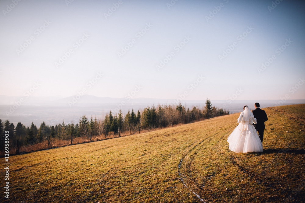 gorgeous bride and stylish groom hugging, boho wedding couple, luxury ceremony at mountains with amazing view, space for text gorgeous bride and stylish groom hugging, boho wedding couple, luxury ceremony at mountains with amazing view, space for text