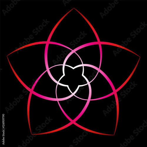 Flower Of Venus Red Black Background