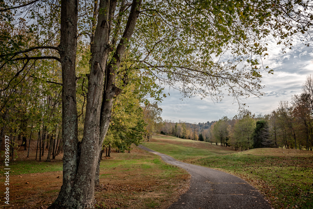 cart path and fairway