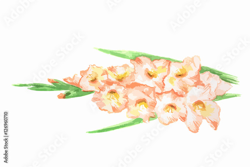 Isolated watercolor flower on white background