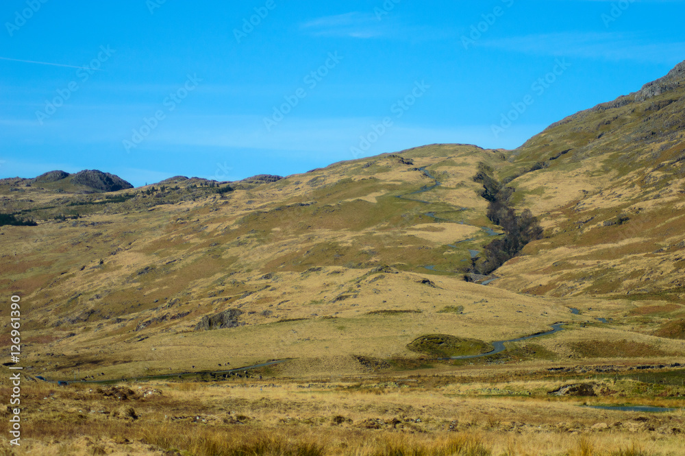 countryside road