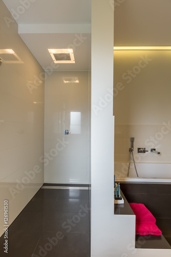 Modern bathroom with steps