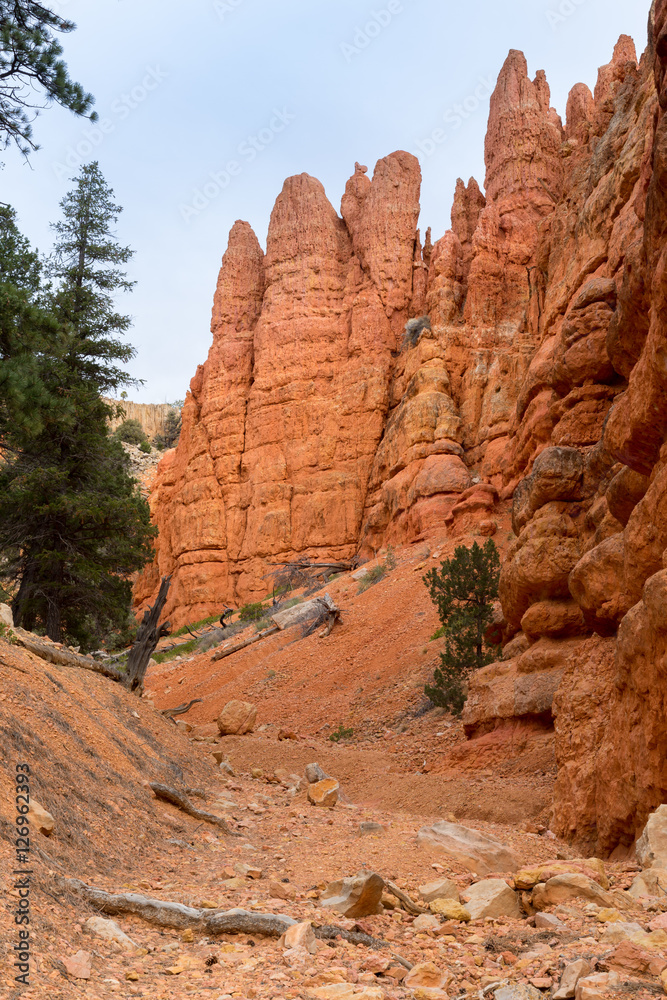 Red Canyon in Utah Red Canyon in Utah