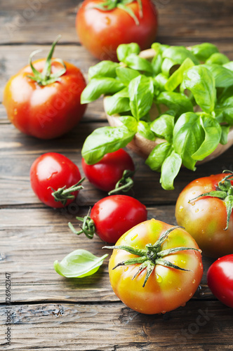 Green basil and red sweet tomato