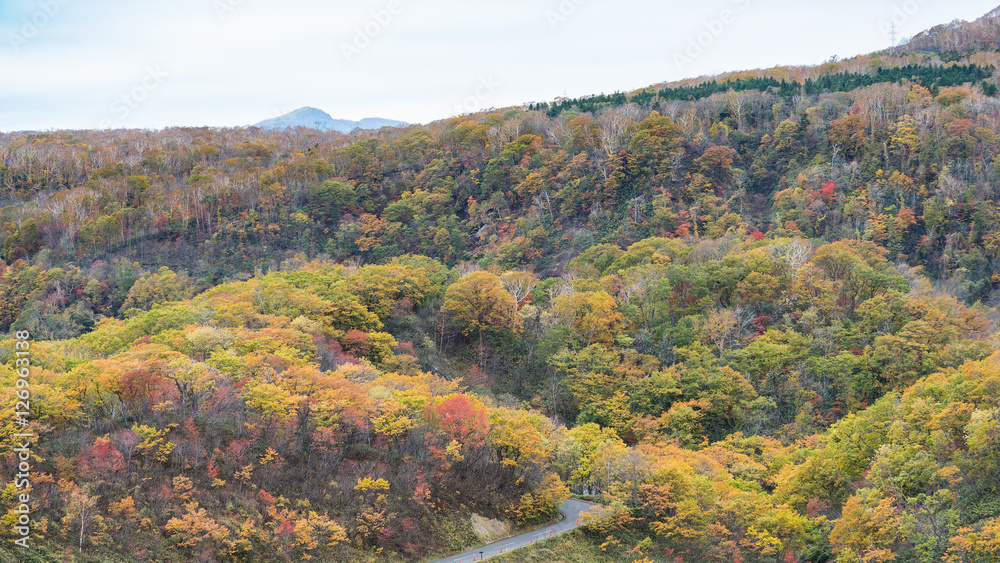 colorful leaves view at Noboribetsu , Jigokudani hell valley, Hokkaido in autumn, Japan