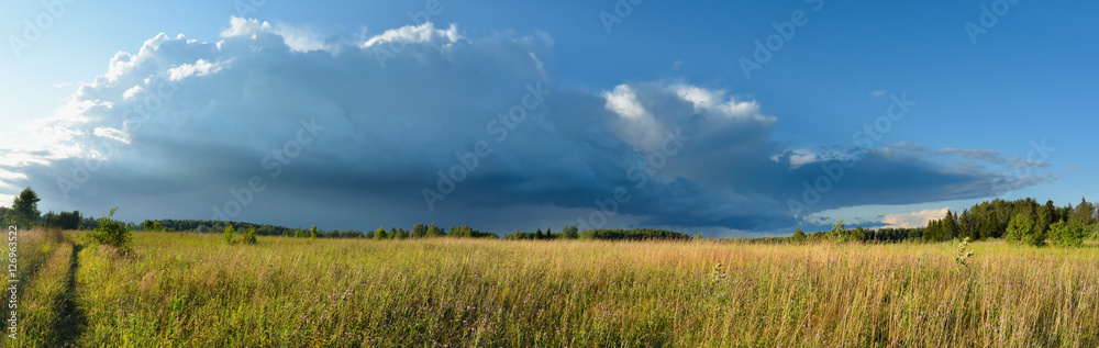 Meadow and storm cloud in sunset light panoramic landscape