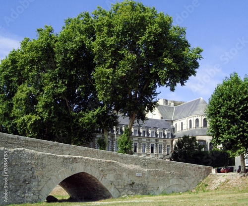 river loire beaugency photo