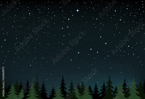 night stars and wood
