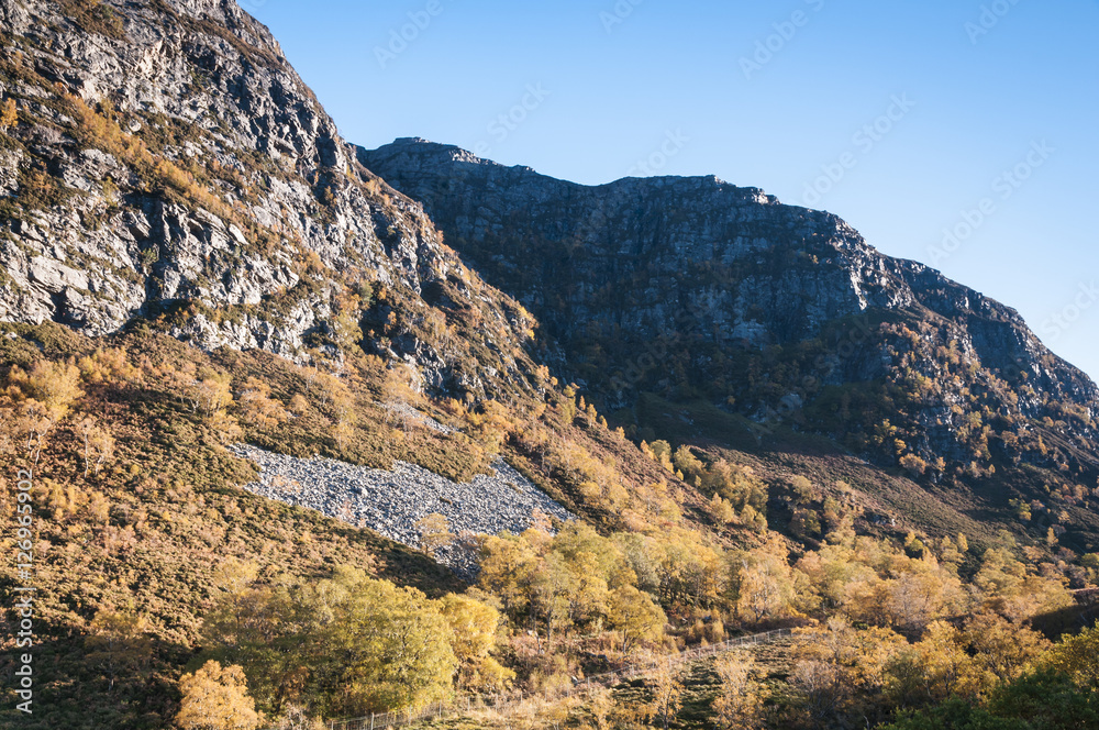 Mountainside and woodland in autumnal sunshine, Ross and Cromarty, Scotland Mountainside and woodland in autumnal sunshine, Ross and Cromarty, Scotland