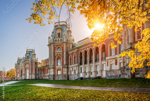 Photography Солнечное дерево Solar tree